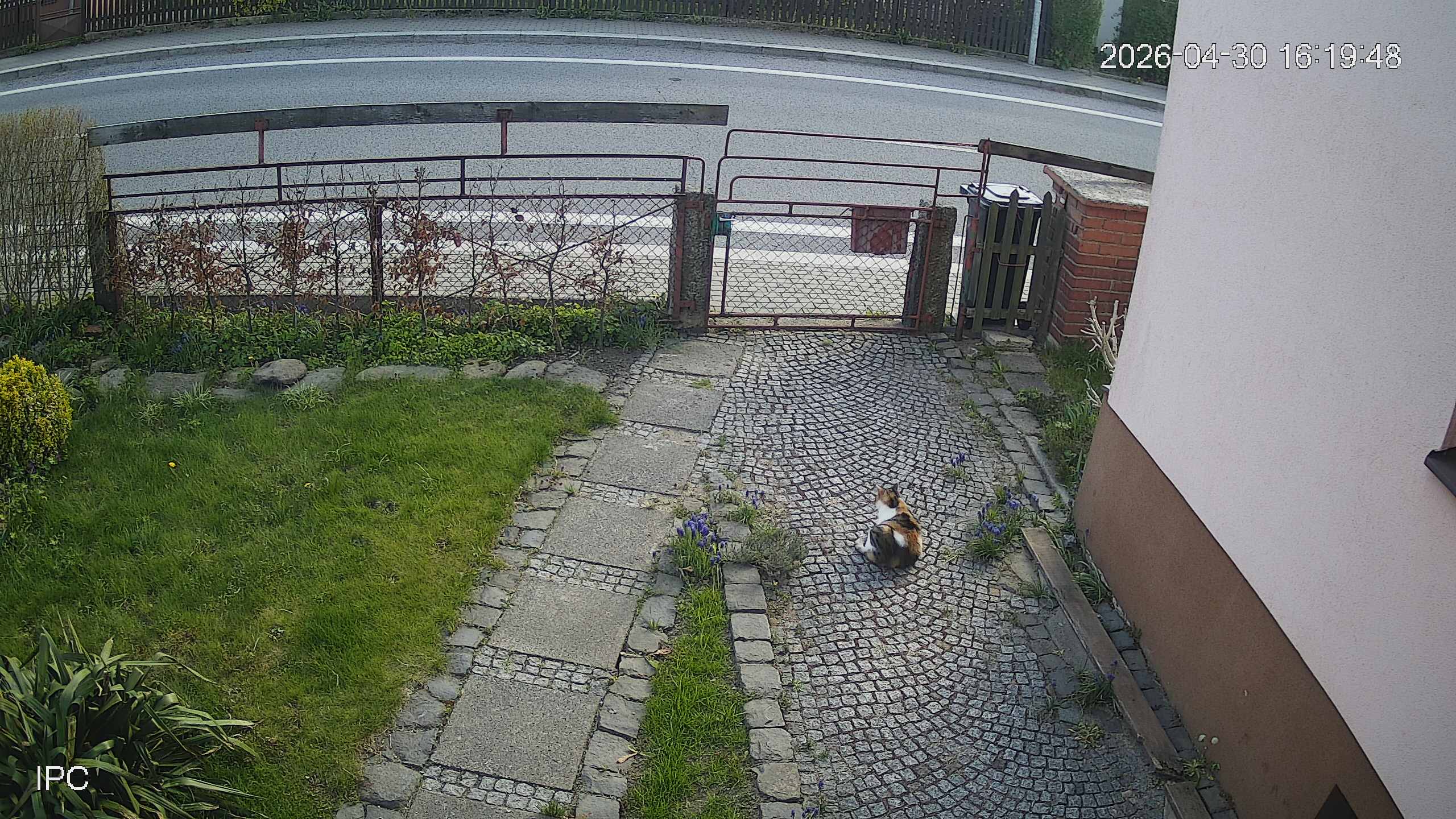 Capture